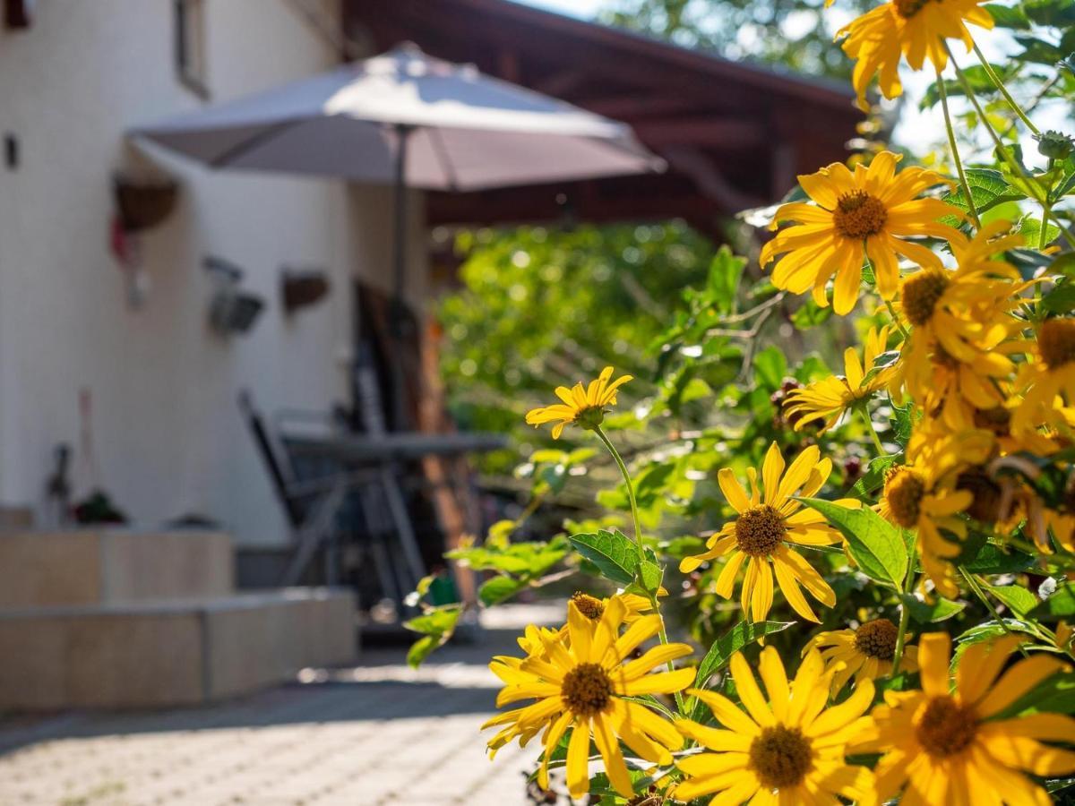 Pipacsos Vendeghazak Apartment Kiskunmajsa Bagian luar foto